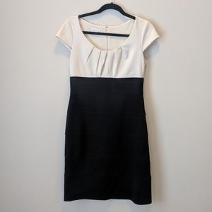Black and Ivory Knit Dress
